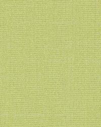 Tiepolo Shantung Weave Limeade by   