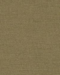 Tiepolo Shantung Weave Sage by   