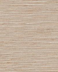 Pozzo Weave Oatmeal by  Schumacher Fabric 