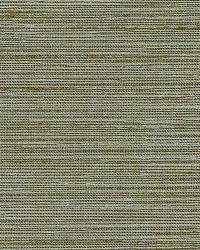 Pozzo Weave Seamist by  Schumacher Fabric 