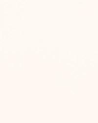 Tristan Cotton Weave Ivory by  Schumacher Fabric 