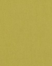 Tristan Cotton Weave Olive by  Schumacher Fabric 