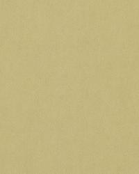 Tristan Cotton Weave Sage by  Schumacher Fabric 