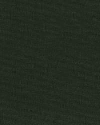 Gainsborough Velvet Boxwood by  Schumacher Fabric 