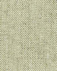 Sahara Weave Moonstone by  Schumacher Fabric 