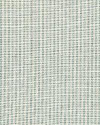 Barnet Cotton Check Aqua by  Schumacher Fabric 