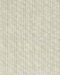 Antique Strie Velvet Fog by  Schumacher Fabric 