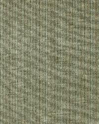 Antique Strie Velvet Balsam by  Schumacher Fabric 