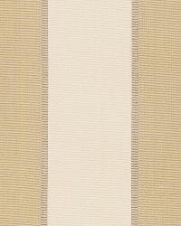 Montebello Stripe Champagne by  Schumacher Fabric 