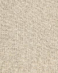 Arles Embroidery Greige by  Schumacher Fabric 