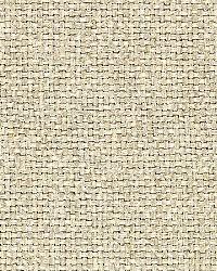 Chaumont Silk Weave String by  Schumacher Fabric 