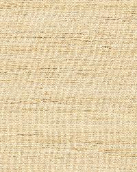 Chinon Silk Weave Candlelight by  Schumacher Fabric 