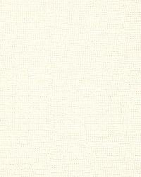 Brittany Weave Blanc by  Schumacher Fabric 