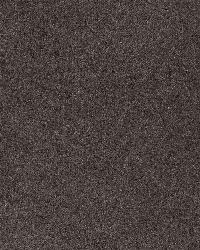 Bayeux Velvet Ash by  Schumacher Fabric 