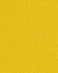 Madison Wool Chartreuse by   