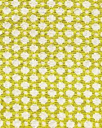 Betwixt Chartreuse   Ivory by  Schumacher Fabric 
