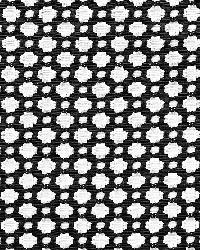 Betwixt Black   White by  Schumacher Fabric 