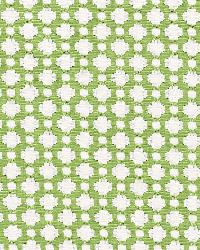 Betwixt Leaf Blanc by  Schumacher Fabric 