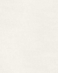 Monte Carlo Weave Coconut by  Schumacher Fabric 