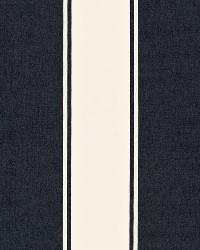 Cannes Awning Stripe Denim by  Schumacher Fabric 