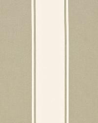 Cannes Awning Stripe Driftwood by  Schumacher Fabric 