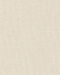 Cap Ferrat Weave Oyster by  Schumacher Fabric 