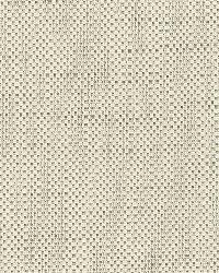 Cap Ferrat Weave Pebble by  Schumacher Fabric 