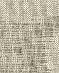 Cap Ferrat Weave Driftwood by  Schumacher Fabric 
