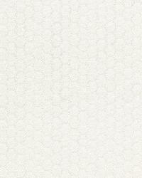 Riviera Matelasse Coconut by  Schumacher Fabric 