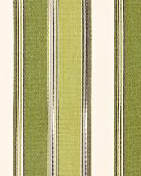 Addison Cotton Stripe Vert by  Schumacher Fabric 