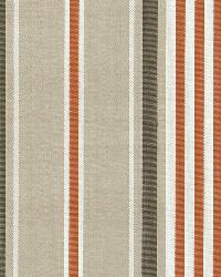 Minzer Cotton Stripe Valencia by  Schumacher Fabric 