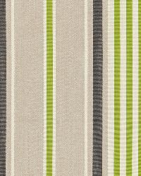 Minzer Cotton Stripe Vert by  Schumacher Fabric 