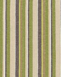 Kiawah Stripe Vert by  Schumacher Fabric 