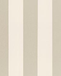 Beaufort Awning Stripe Platinum by  Schumacher Fabric 