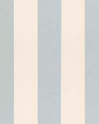 Beaufort Awning Stripe Ciel by  Schumacher Fabric 