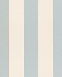 Beaufort Awning Stripe Ciel by  Schumacher Fabric 