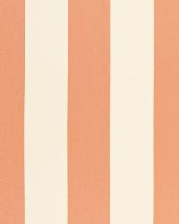 Beaufort Awning Stripe Peche by  Schumacher Fabric 