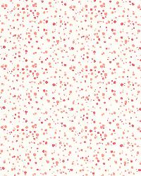 Skittles Punch   Coral by  Schumacher Fabric 