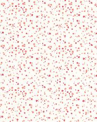 Skittles Punch   Coral by  Schumacher Fabric 