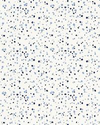 Skittles Blueberry   Sky by  Schumacher Fabric 