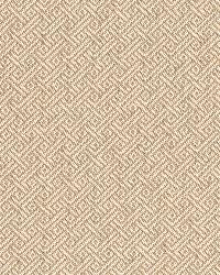 Picard Weave Greige by  Schumacher Fabric 