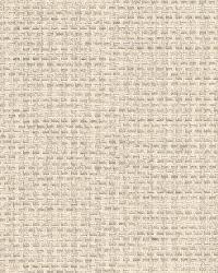 Chatelet Weave Greige by  Schumacher Fabric 
