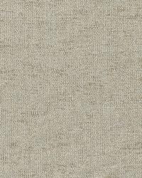 Renaix Chenille Mineral by  Schumacher Fabric 