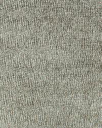 Ashcombe Chenille Moonstone by  Schumacher Fabric 