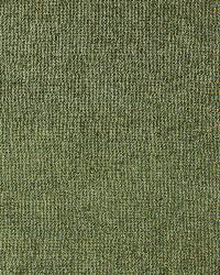 Ashcombe Chenille Venetian by  Schumacher Fabric 