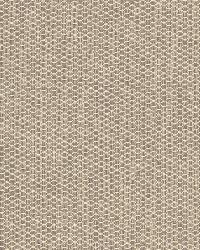 Times Square Chanterelle by  Schumacher Fabric 