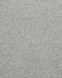 Dixon Mohair Weave Feather Grey by  Schumacher Fabric 