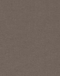 Desert Weave Charcoal by  Schumacher Fabric 