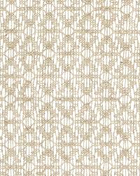 Gobi Sheer Ivoire by  Schumacher Fabric 