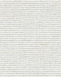 Galapagos Sheer Zinc by  Schumacher Fabric 